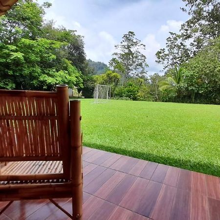Hospedaje Amanecer Bed & Breakfast Turrialba Luaran gambar